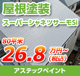 屋根塗装（業界最大級高遮熱塗料）28.8万円（税込）