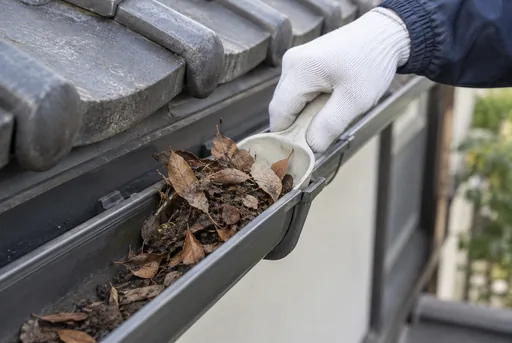 雨樋にたまった落ち葉をかき出す作業